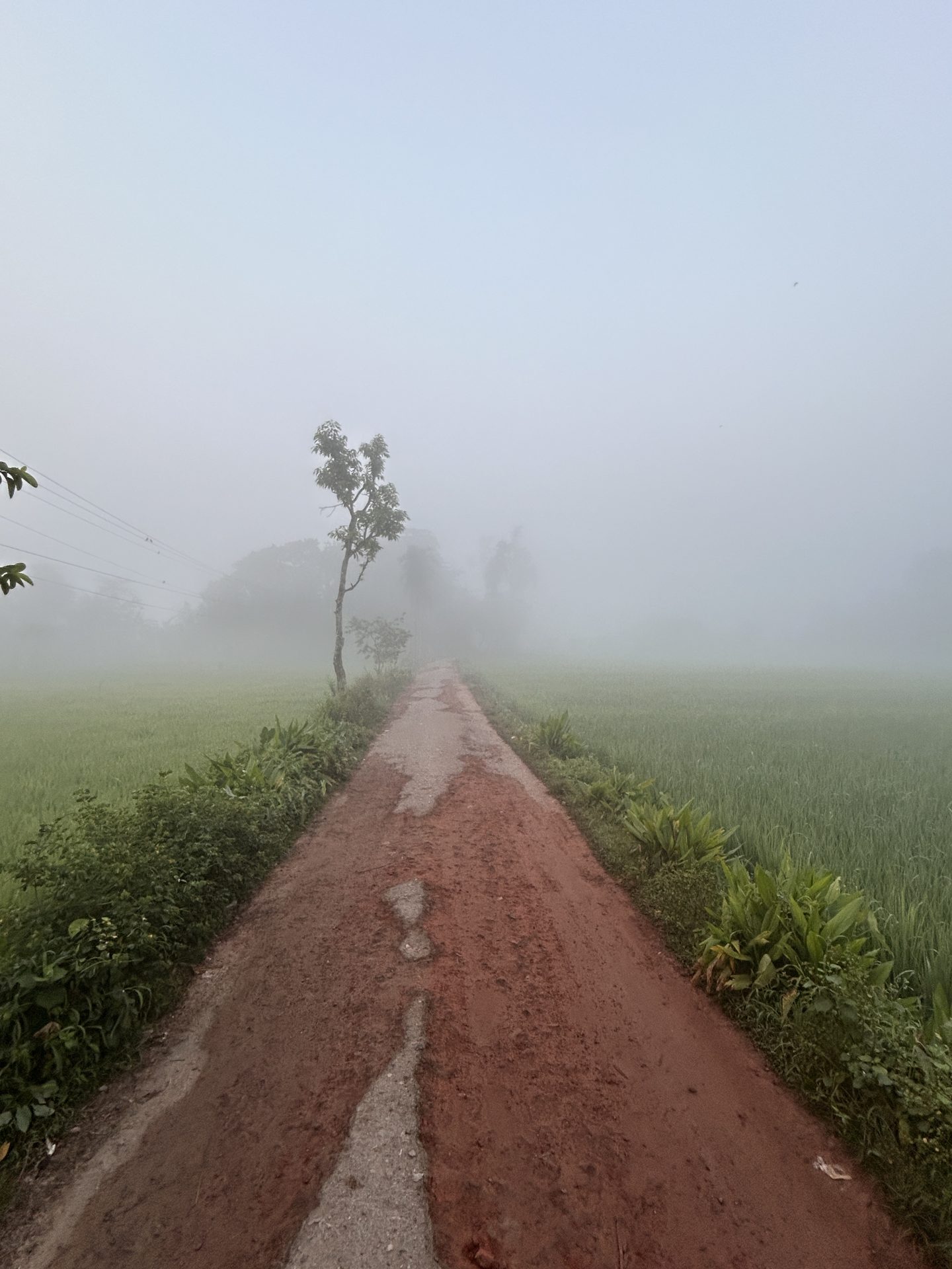 বকুলতলা — ছবি 5
