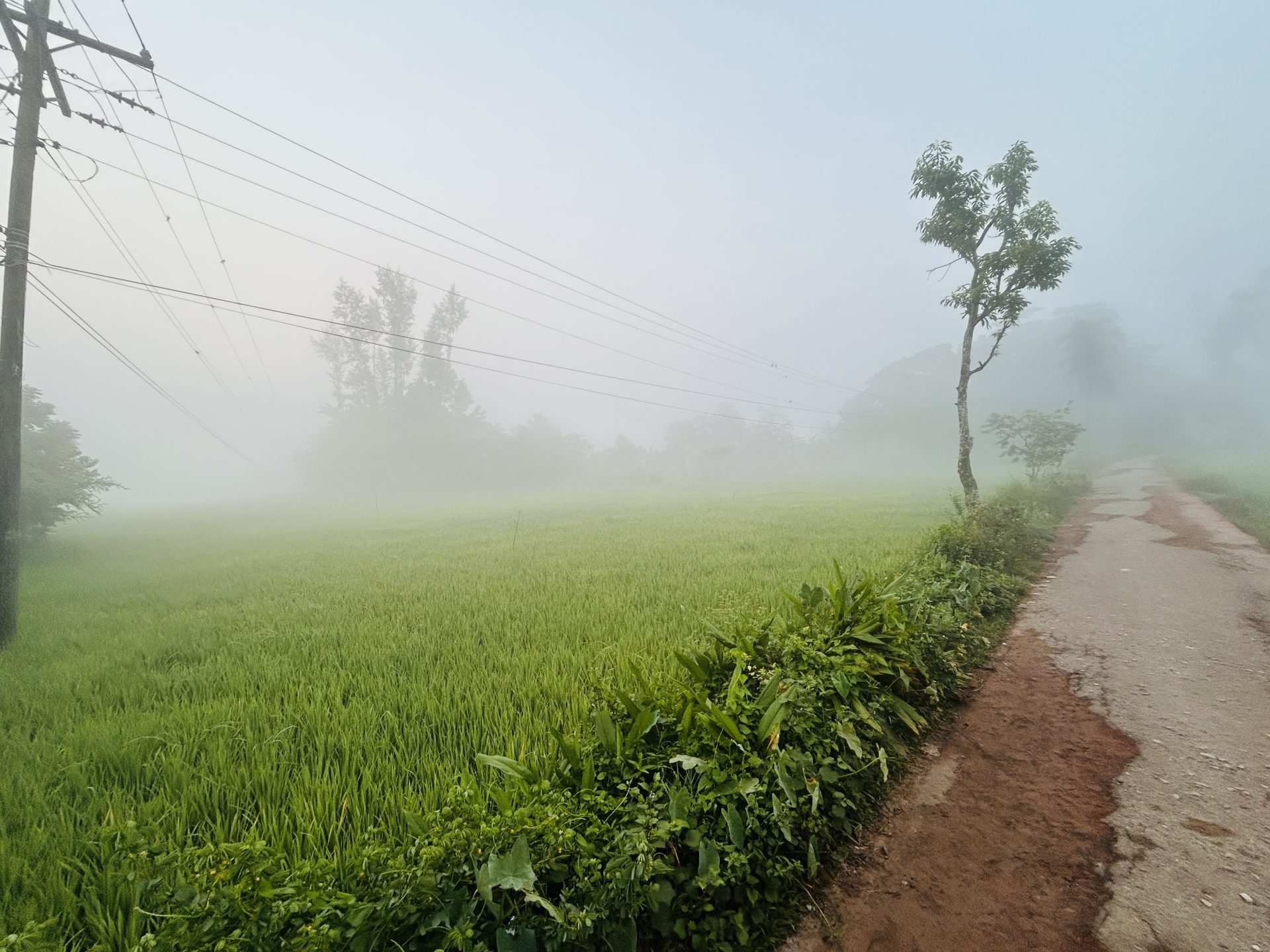 বকুলতলা — ছবি 3