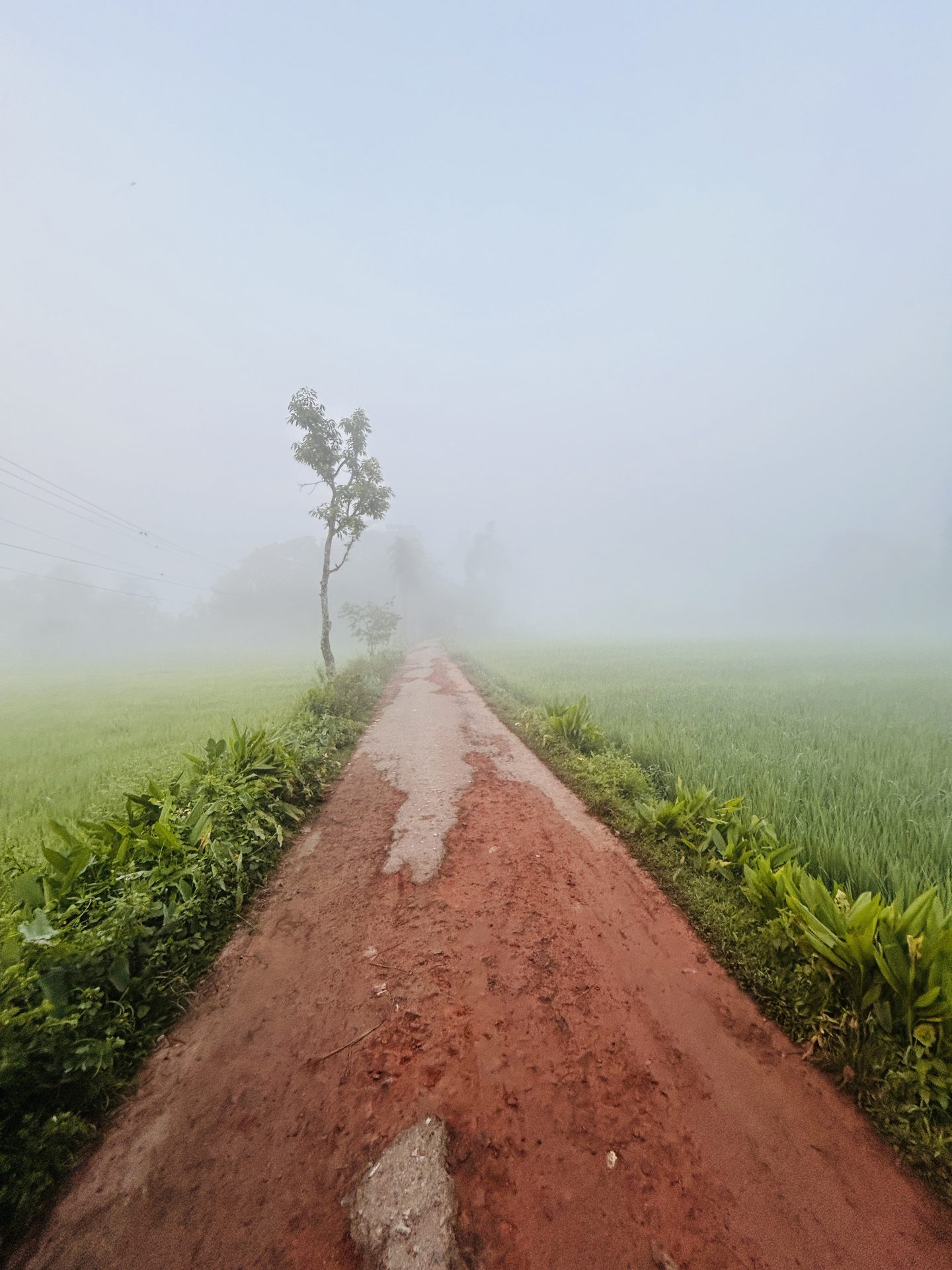 বকুলতলা — ছবি 2